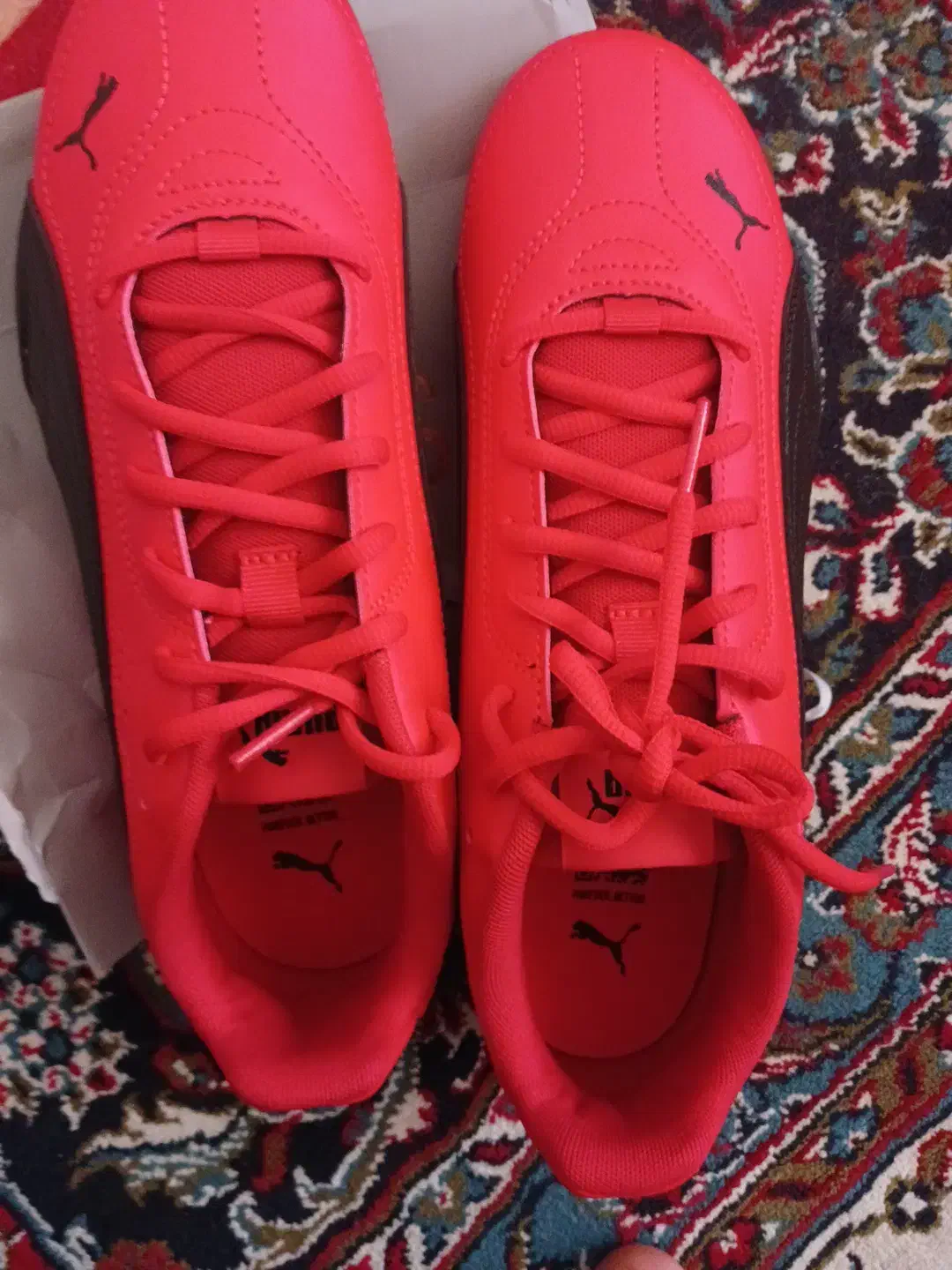 کفش سالنی|کیف، کفش، کمربند|قم, نیروگاه|دیوار