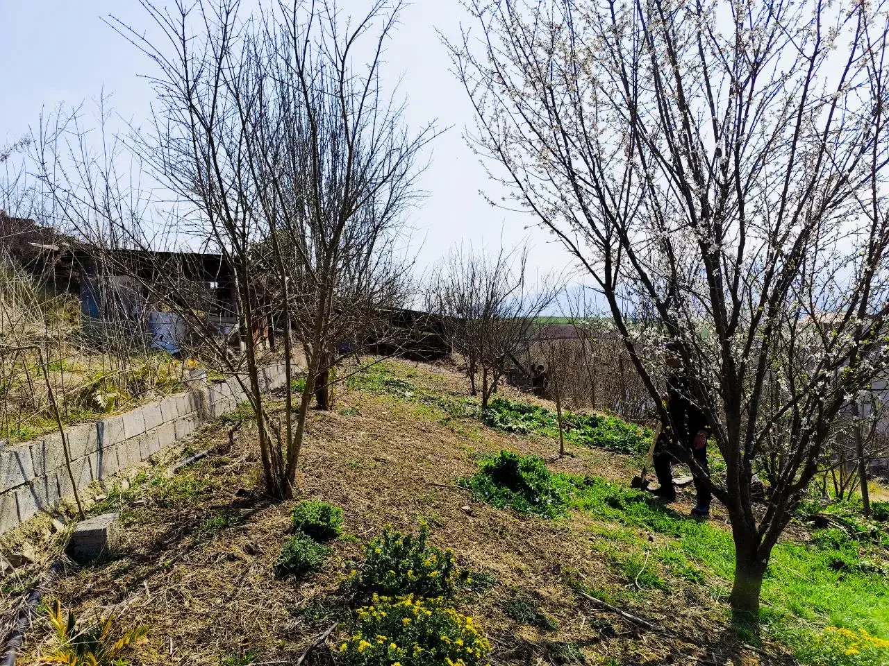 زمین ویلایی بهترین ویو منطقه ساری|فروش زمین و ملک کلنگی|ساری, |دیوار