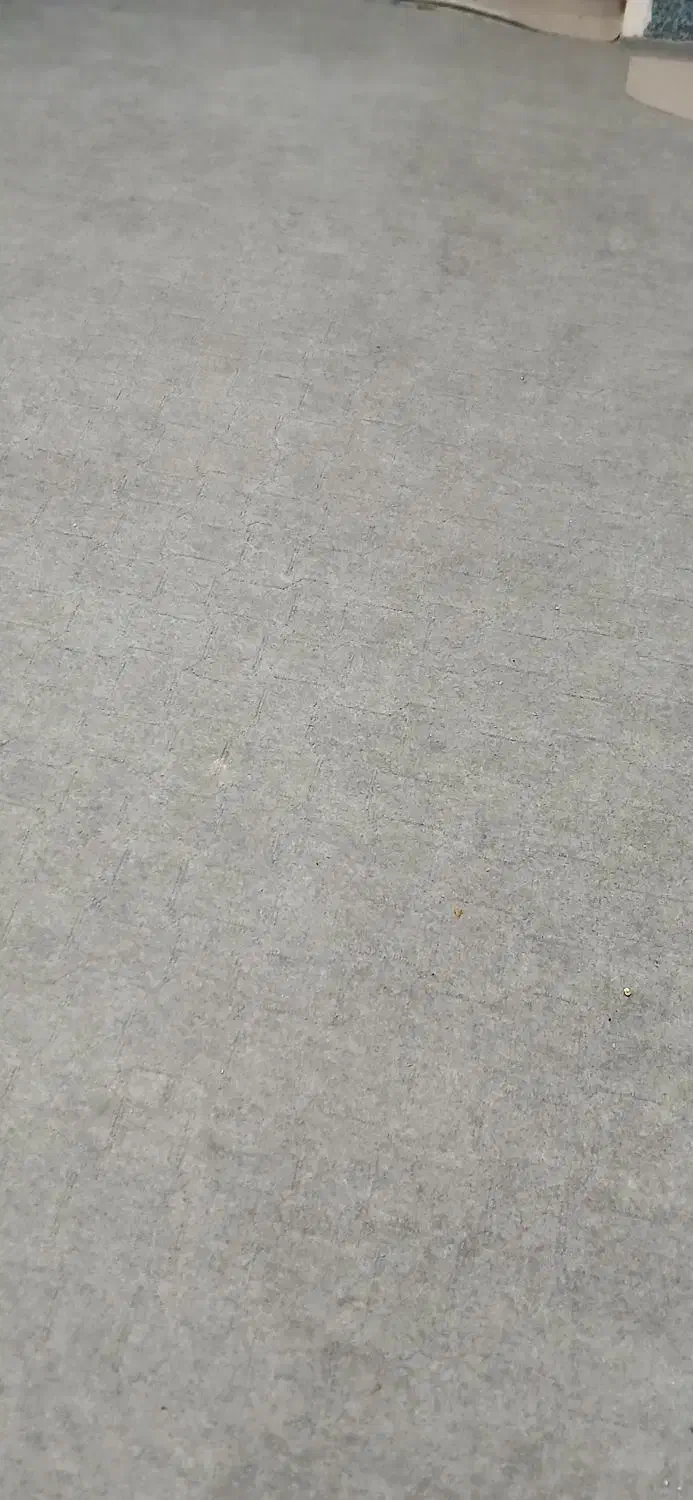 موکت،پشتی،سینگ رو کار پشتی|موکت|زاهدان, |دیوار