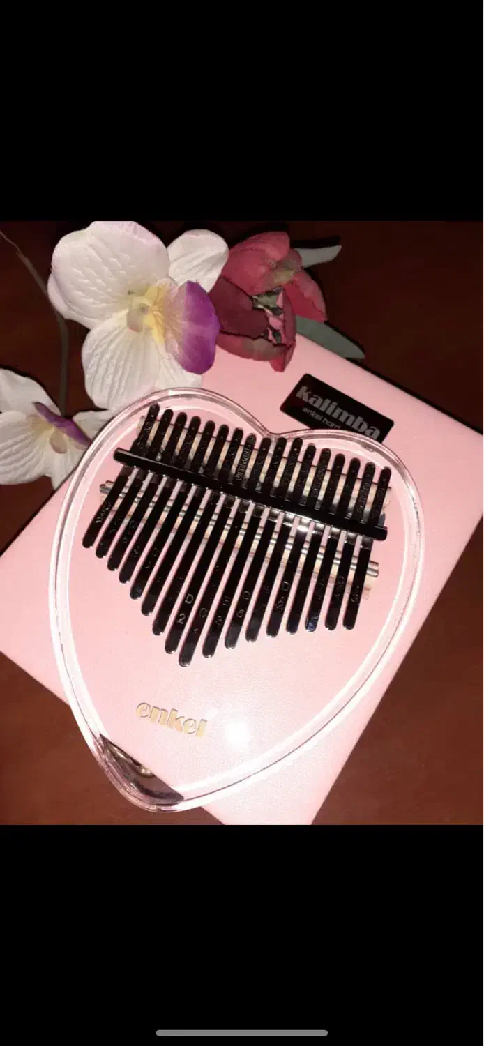 ساز|آلات موسیقی|تهران, قلهک|دیوار