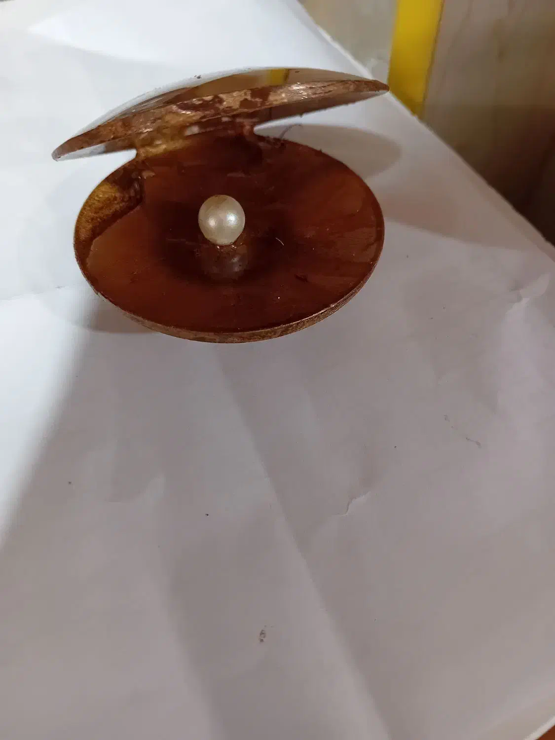 صدف طلایی|صنایع دستی و سایر لوازم تزئینی|شیراز, وصال|دیوار