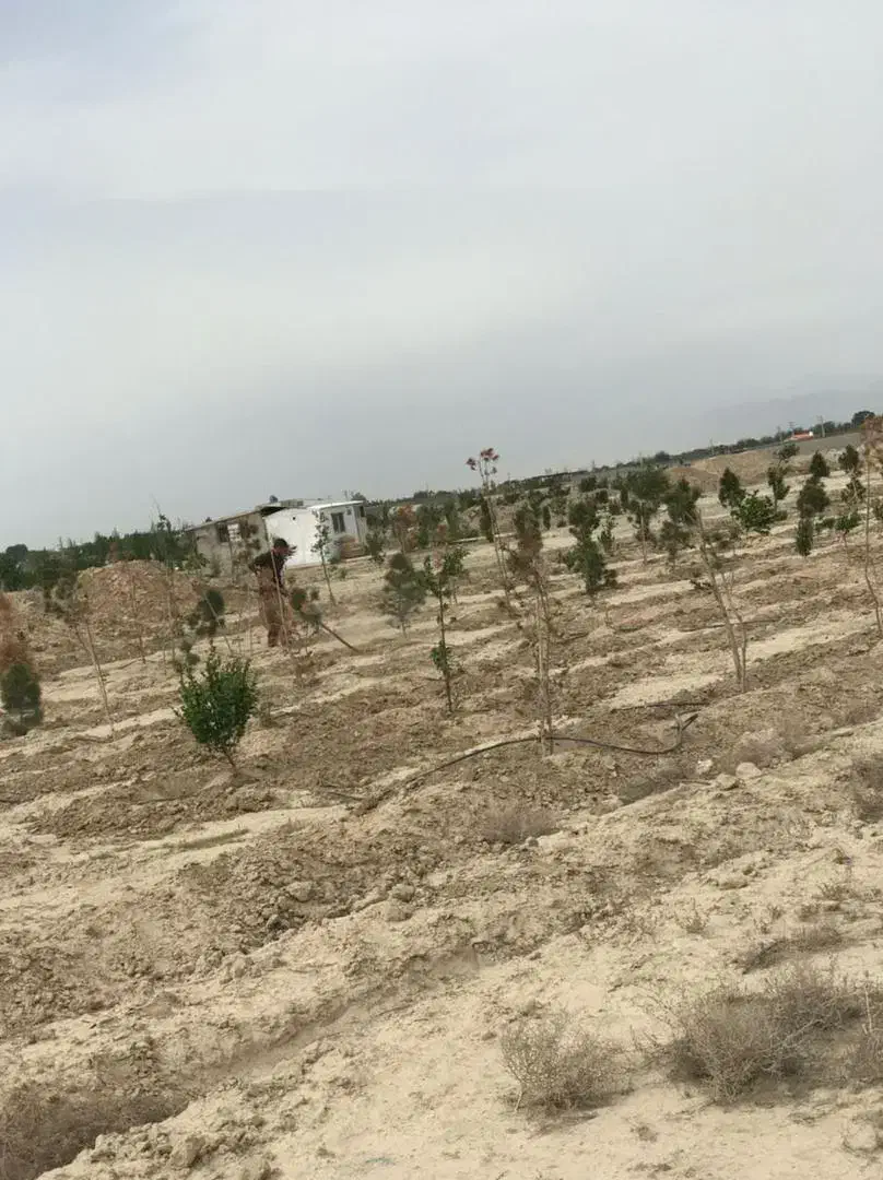 زمین قشلاق مهرچین ۷۵۰متر|فروش زمین و ملک کلنگی|شهریار, بکه|دیوار