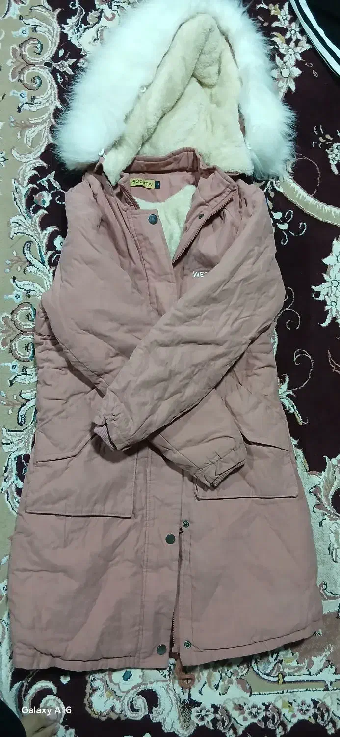 پالتوکلاهدار|لباس|مرودشت, سهل‌آباد|دیوار