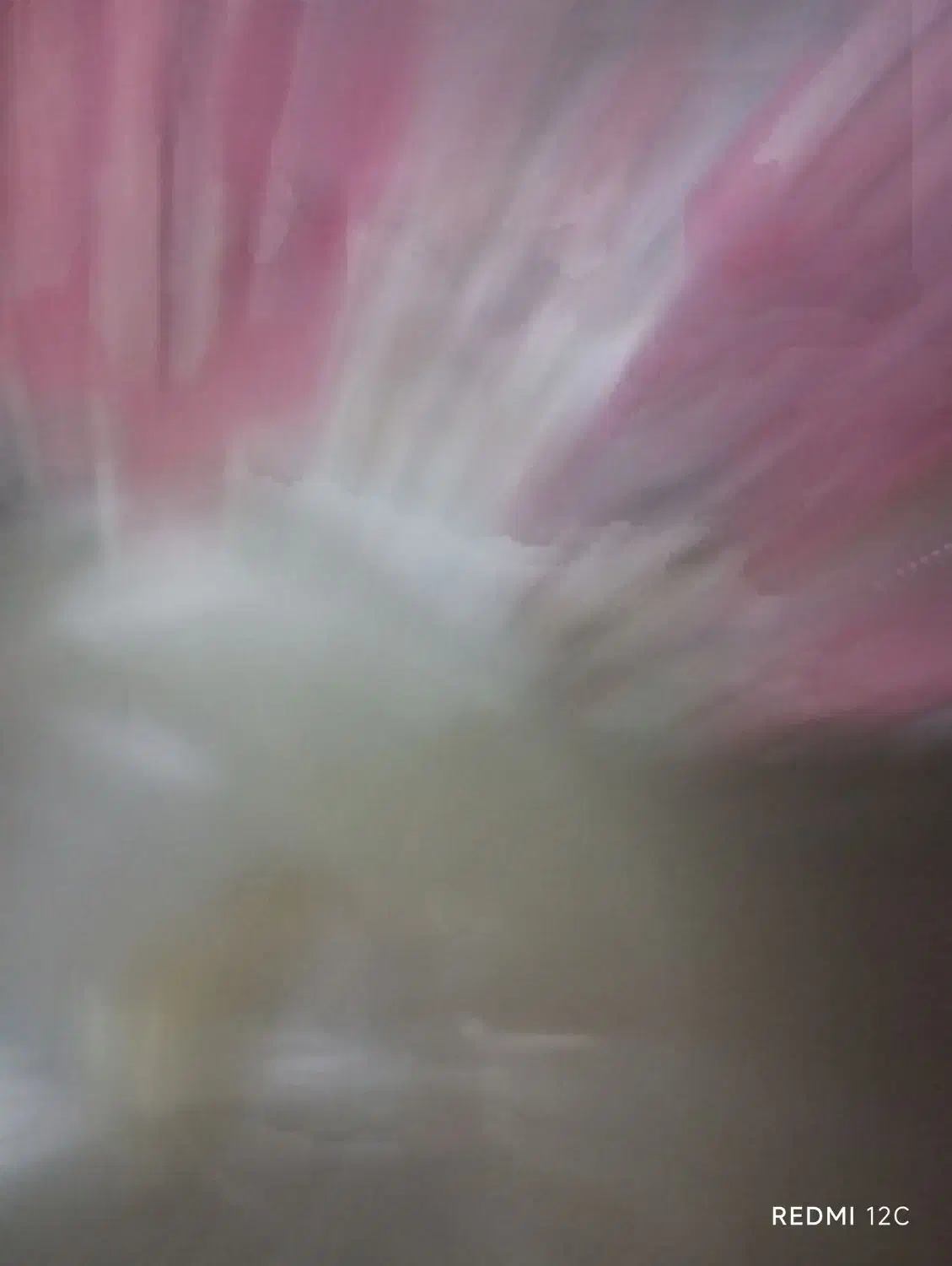 شب خوابم نمیاد|فعالیت داوطلبانه تحقیقاتی|زبرخان, |دیوار