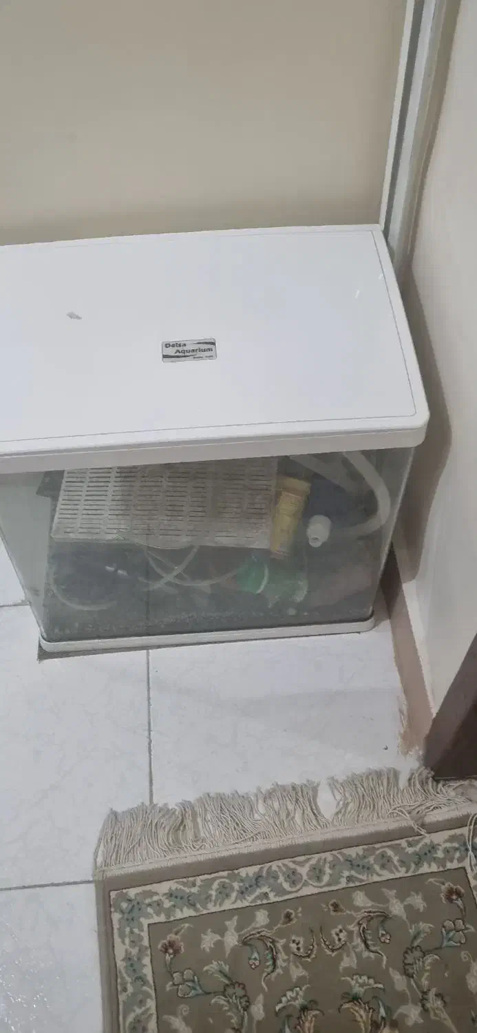 آکواریوم شرکتی|ماهی|اهواز, کیانپارس |دیوار