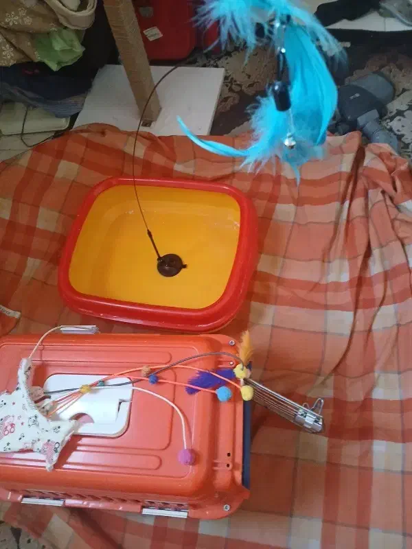 وسایل و اسباب بازی|لوازم جانبی حیوانات|تهران, زرکش|دیوار