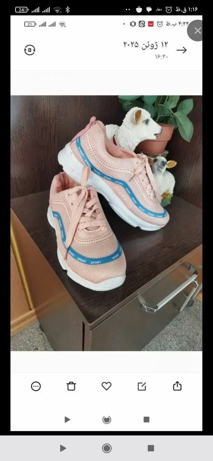 تعدادی کیف و کفش و لباس نو|کیف، کفش، کمربند|الیگودرز, |دیوار