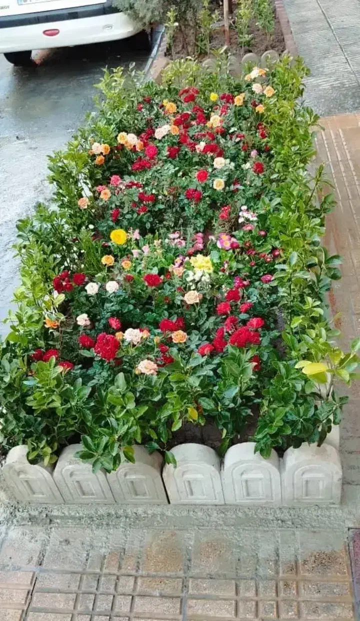 گل کاری وباغبانی هرس کاری وپابیل کردن|خدمات باغبانی و درختکاری|قم, بلوار امین و ساحلی|دیوار