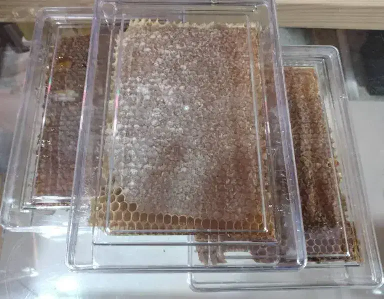 عسل طبیعی کوهستان محصول آذربایجان (سراب)|خوردنی و آشامیدنی|نسیم‌شهر, |دیوار