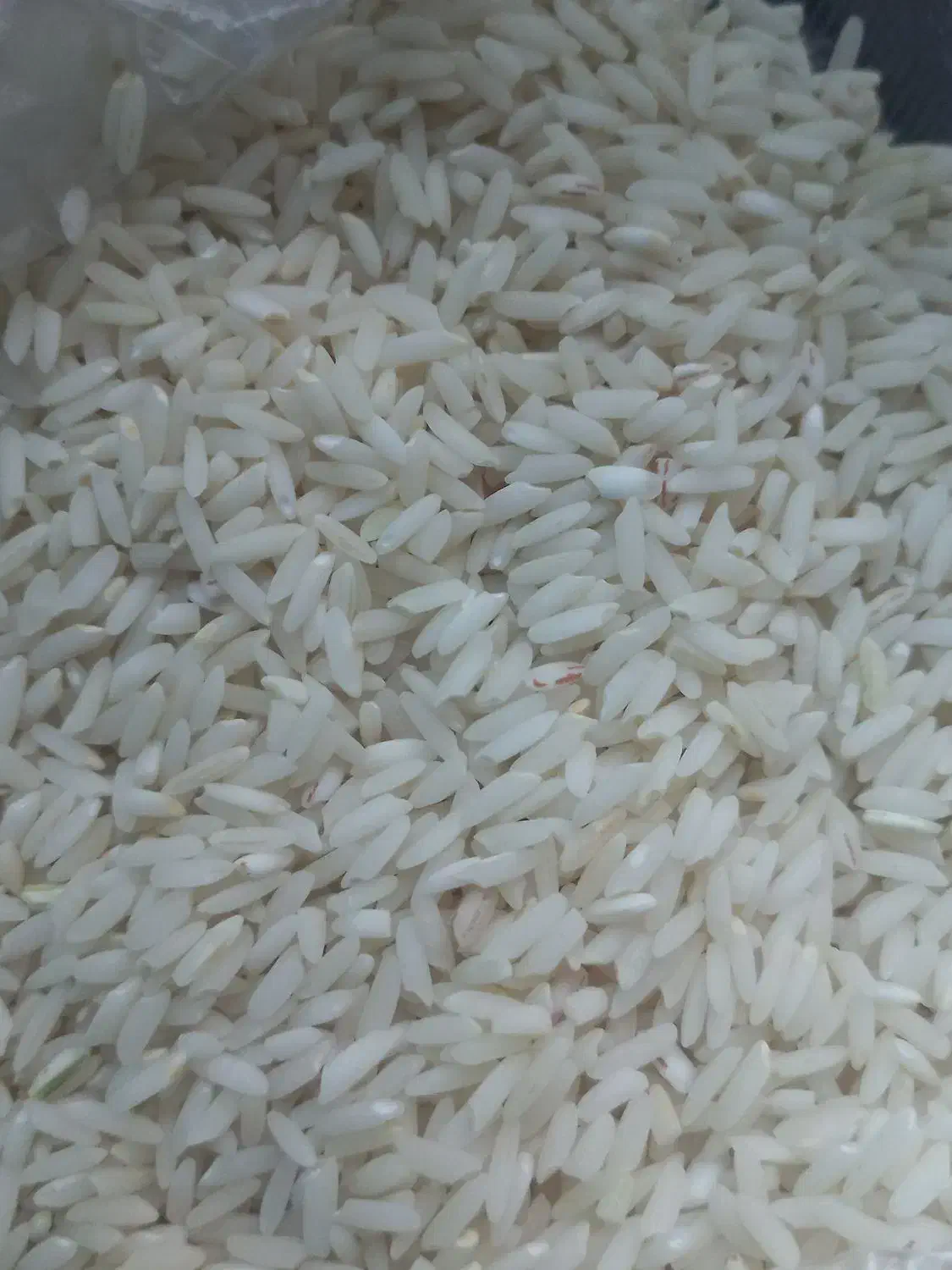 برنج|خوردنی و آشامیدنی|دلیجان, |دیوار