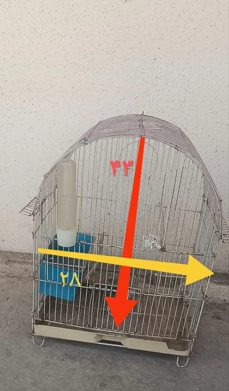 قفسه پرنده|لوازم جانبی حیوانات|تهران, شهرک آپادانا|دیوار