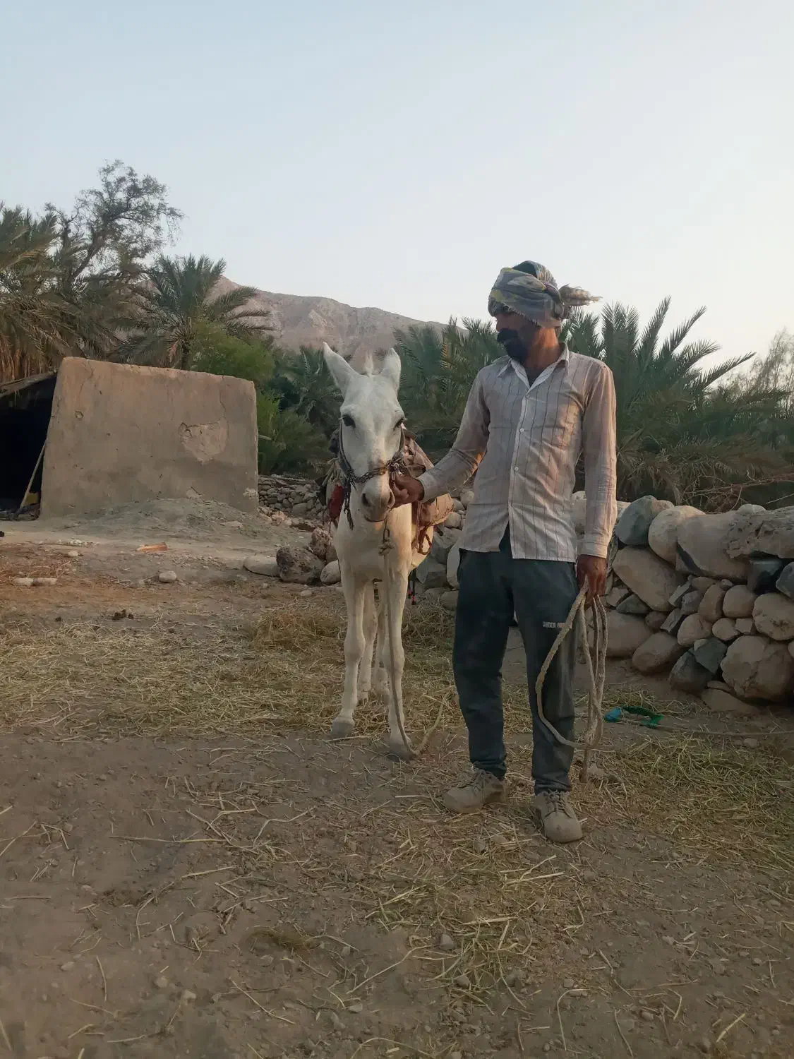 الاغ|حیوانات مزرعه|فین, |دیوار