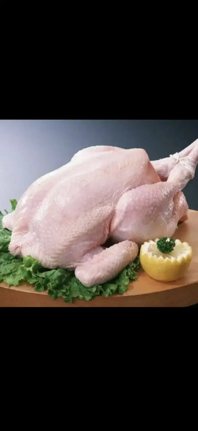 شبکاری|استخدام خدمات فروشگاه و رستوران|جعفرآباد, |دیوار