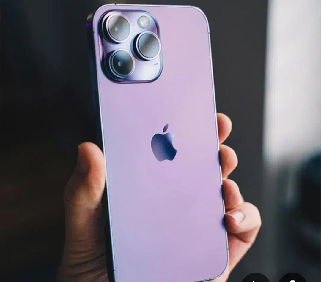 آیفون ۱۴پرو|موبایل|ارژن, |دیوار