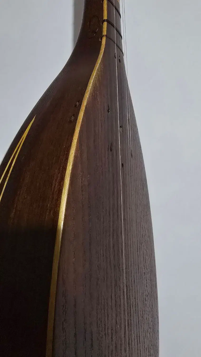 تنبور مهر تاک|سازهای سنتی|تهران, بهارستان|دیوار