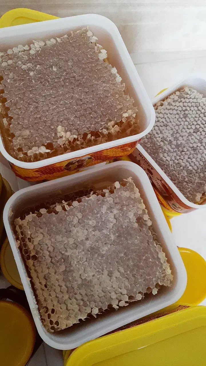 عسل طبیعی سبلان|خوردنی و آشامیدنی|رشت, بوسار|دیوار