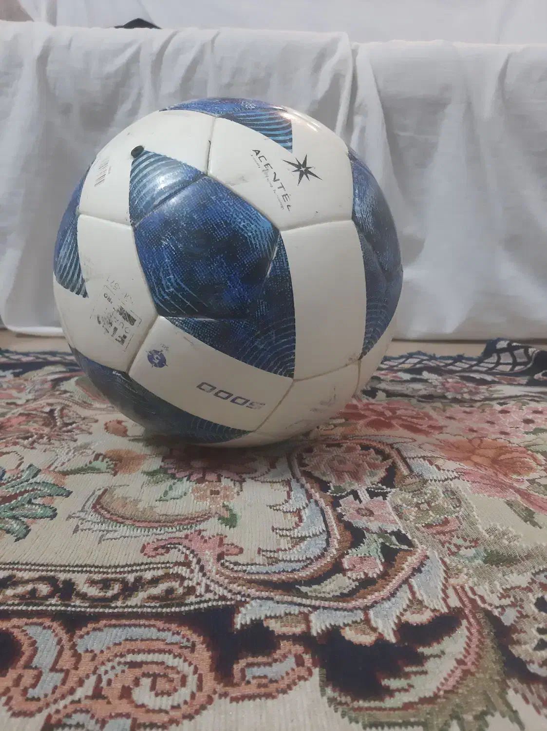 در ورزش های توپی|ورزشهای توپی|سمنان, |دیوار