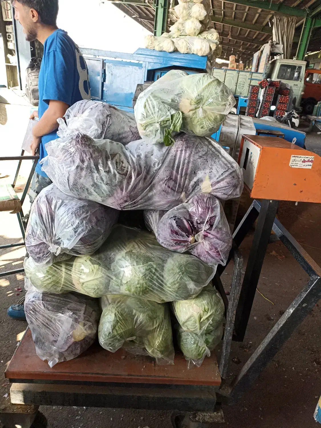 کارگر میدان میوه تره بار مرکزی تهران|استخدام خدمات فروشگاه و رستوران|تهران, میدان میوه و ترهبار مرکزی|دیوار