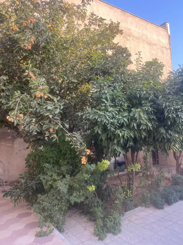خانه ویلایی درشهرک انجیره شیراز|فروش خانه و ویلا|شیراز, انجیره|دیوار