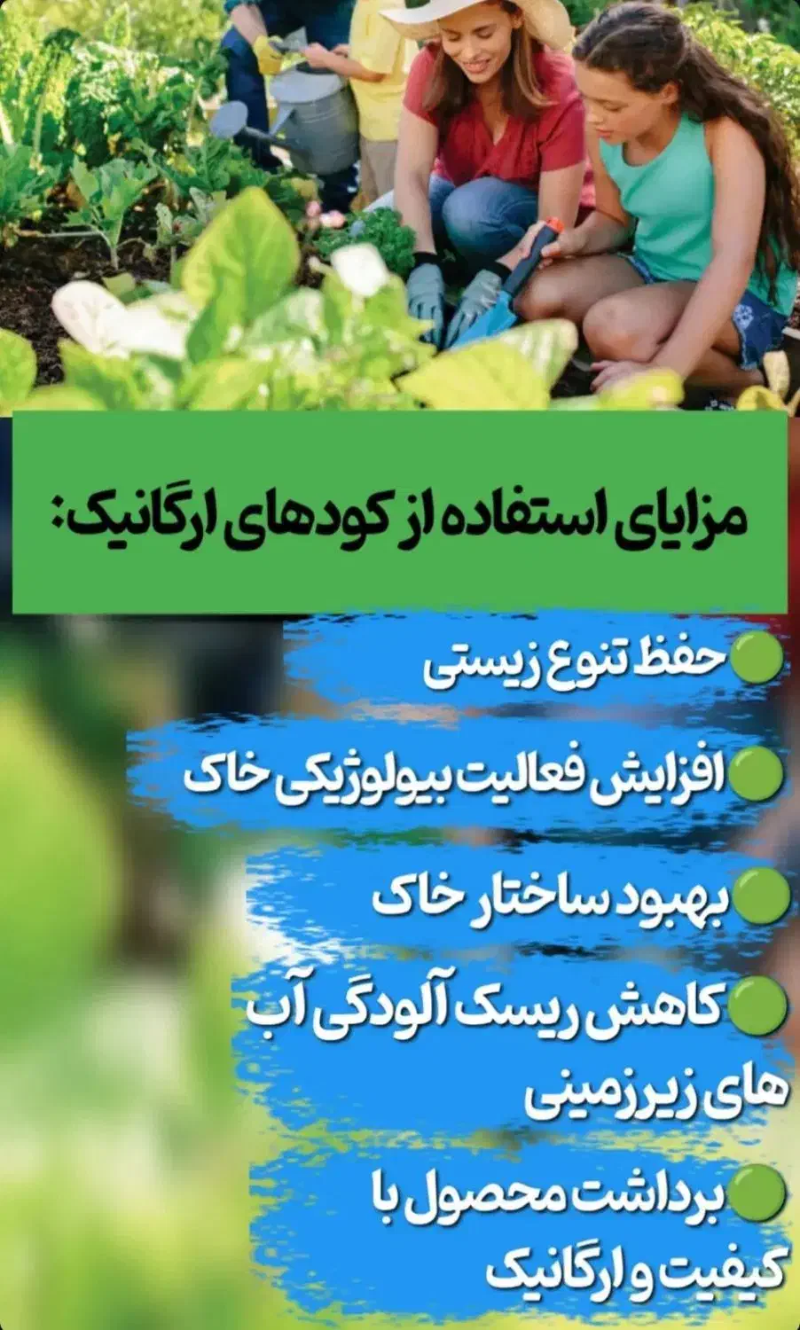 به گیاهت جونِ دوباره بده|گل و گیاه طبیعی|قم, سراجه|دیوار