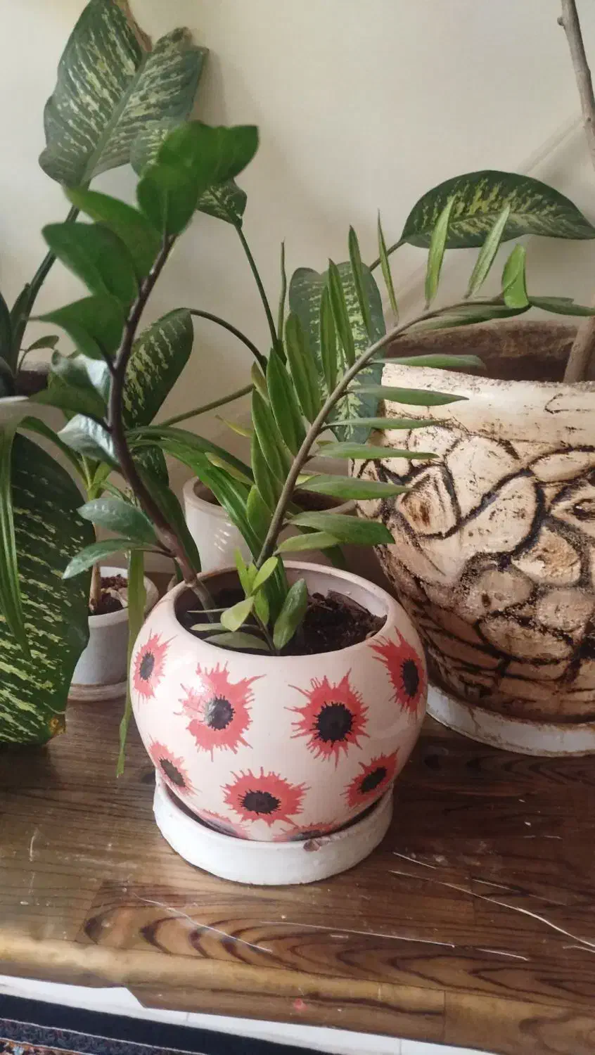 گلدون|صنایع دستی و سایر لوازم تزئینی|یزد, |دیوار