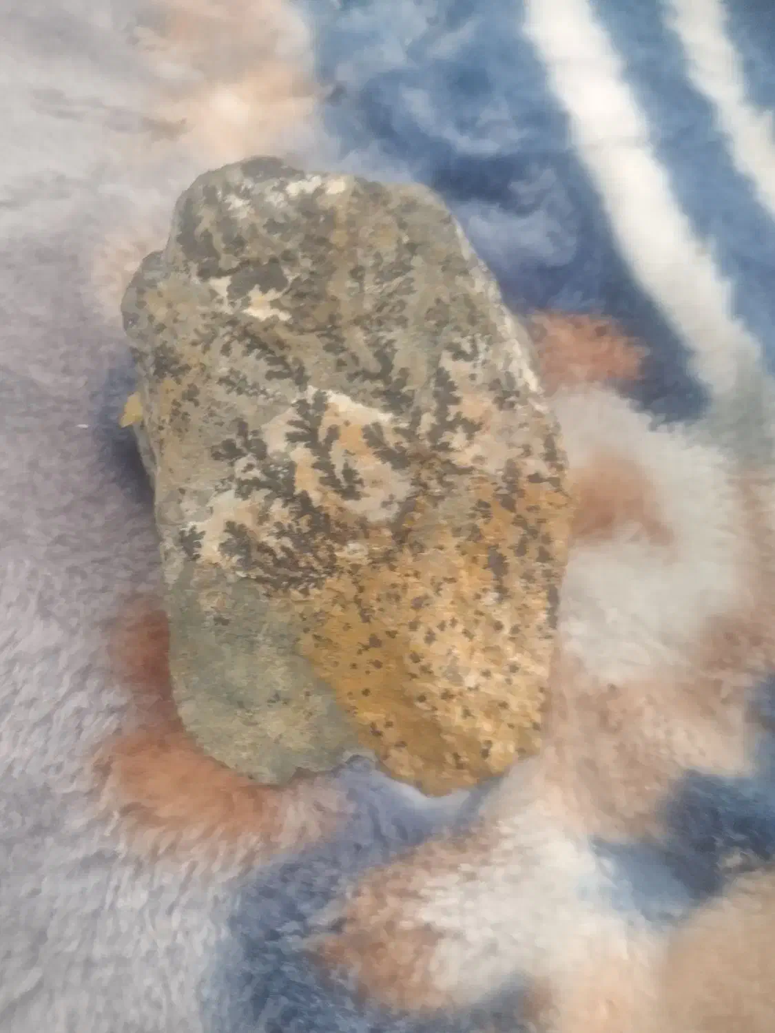 سنگ شجر|بدلیجات|شهرضا, |دیوار