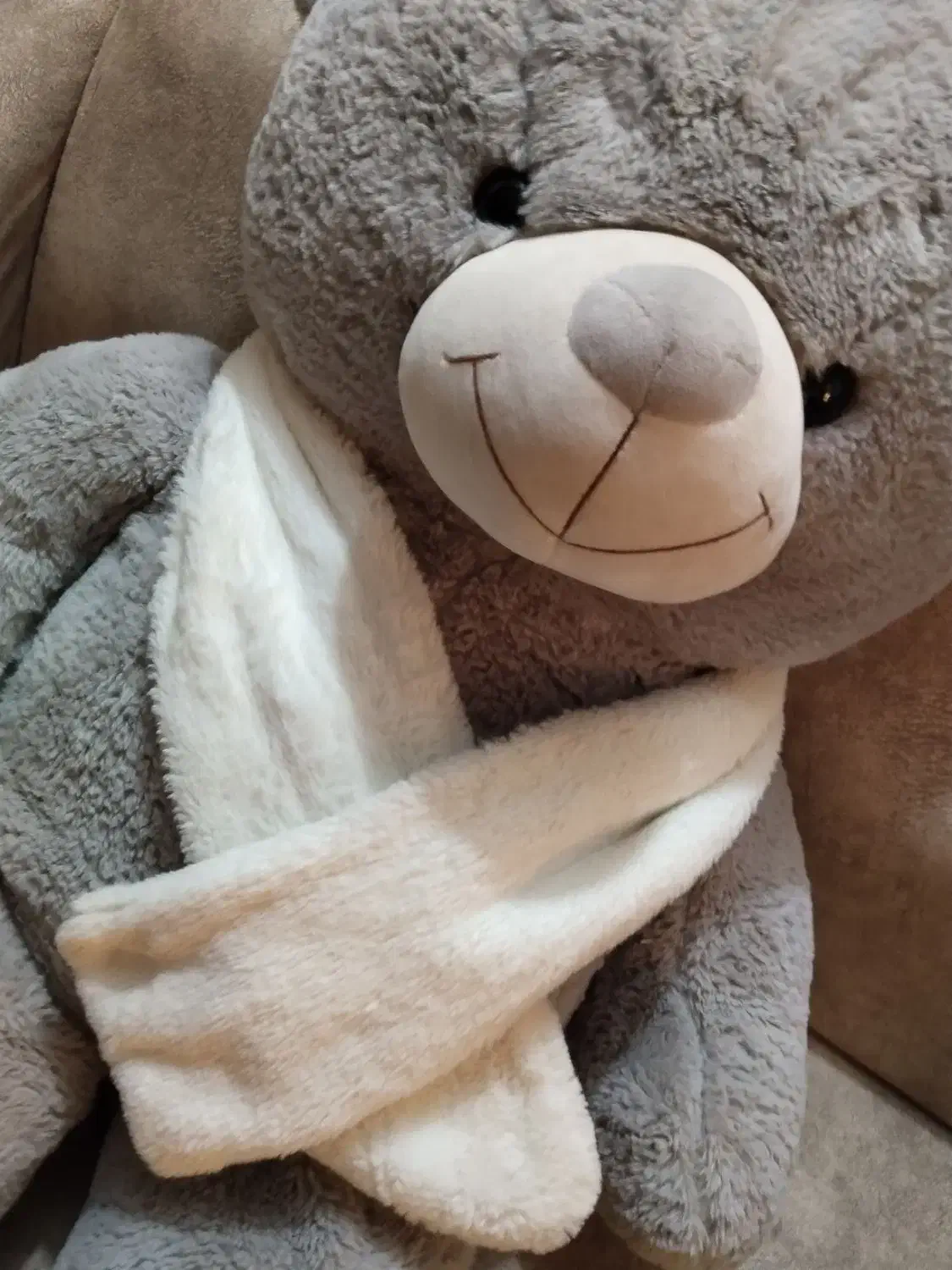 یک خرس پشمالو زیبا|کلکسیون و سرگرمی|زاهدان, |دیوار