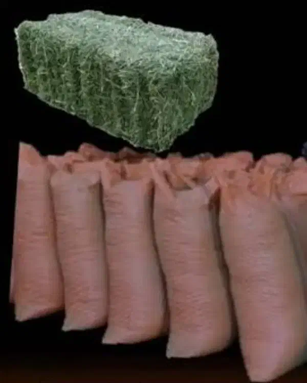 یونجه کوبیده و پرس|لوازم جانبی حیوانات|شیروان (خراسان), |دیوار