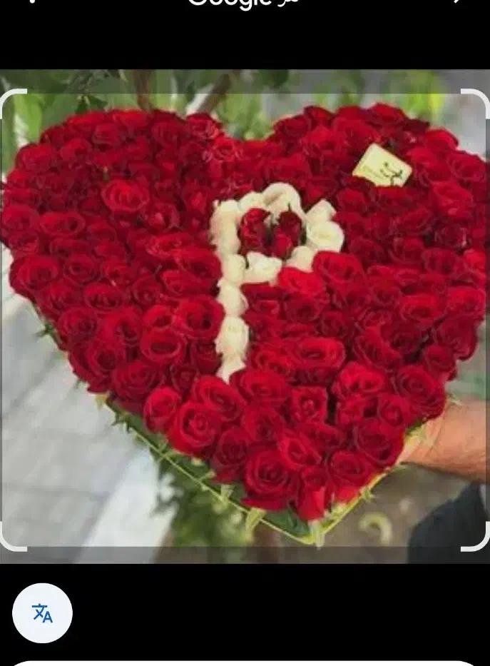 هدیه ولنتاین|گل مصنوعی|خرم‌آباد, |دیوار