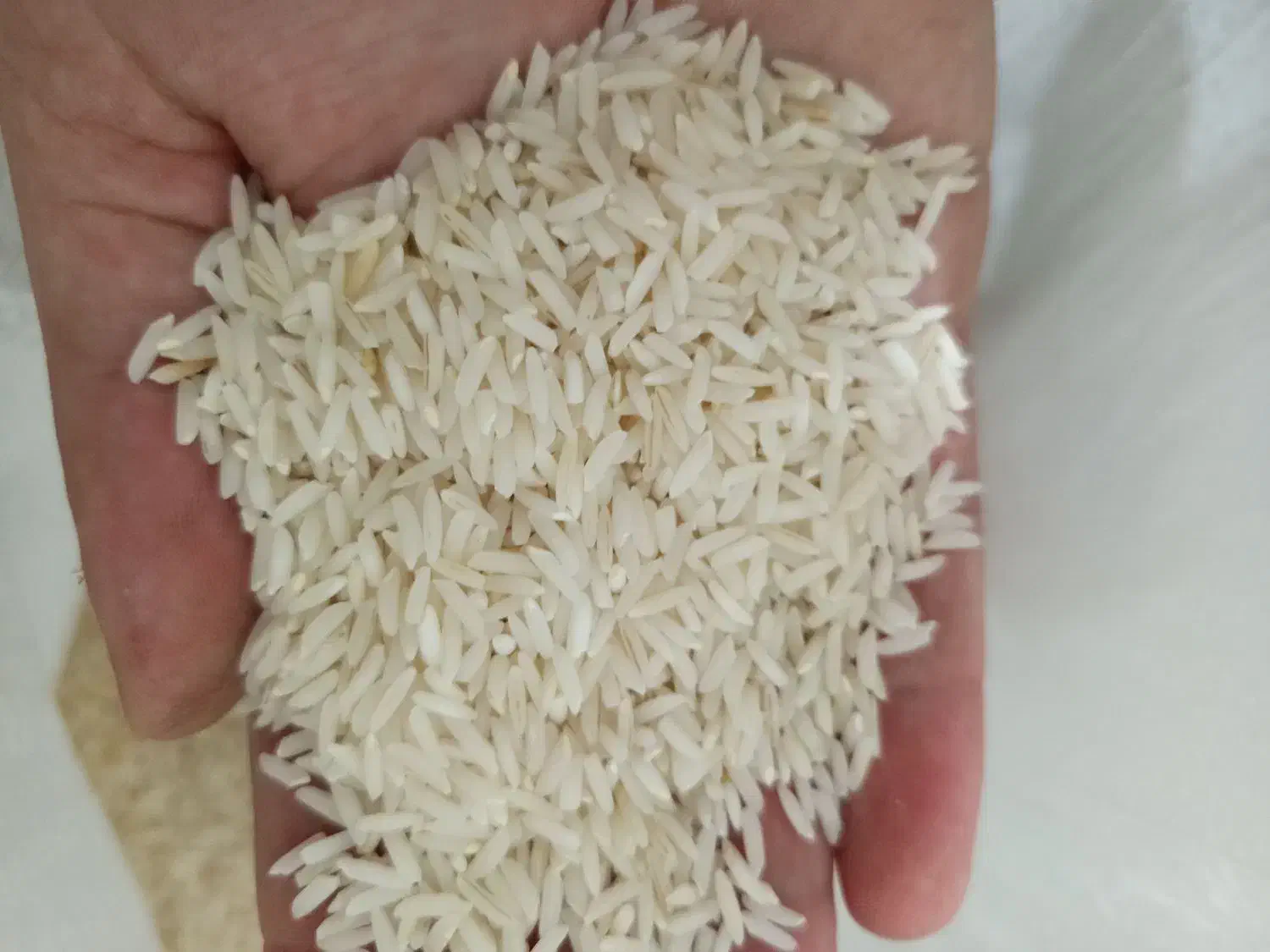 برنج هاشمی|خوردنی و آشامیدنی|رشت, جماران|دیوار