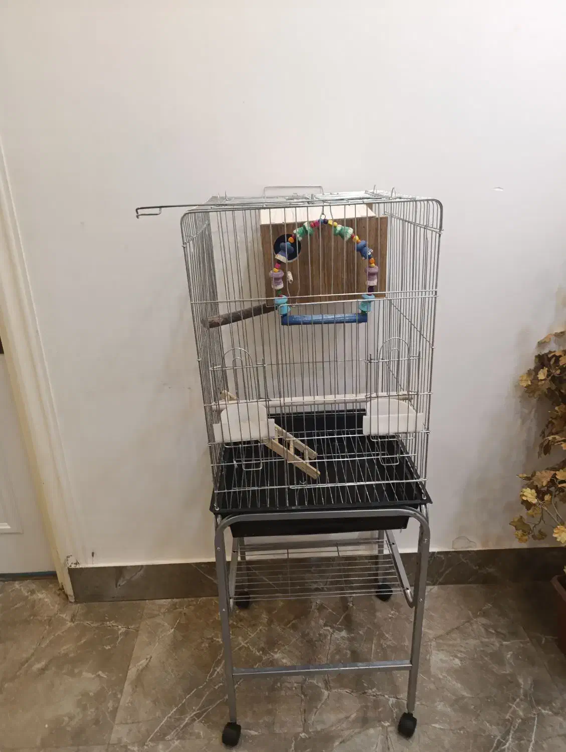 قفس|لوازم جانبی حیوانات|خرمشهر, |دیوار