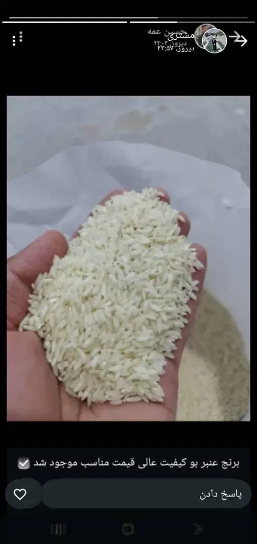 خانه و آشپزخانه|خوردنی و آشامیدنی|هشتگرد, فاز ۱ مهستان|دیوار