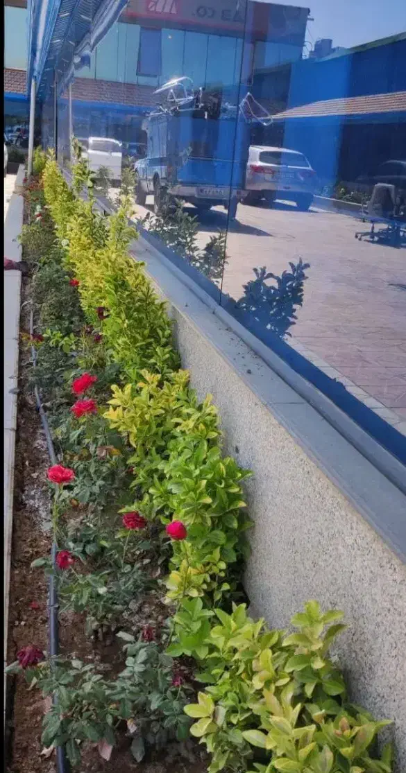 خدمات باغبانی باغچه کاری گلکاری هرس کاری بیل زنی|خدمات حمل و نقل|پرند, فاز ۶|دیوار