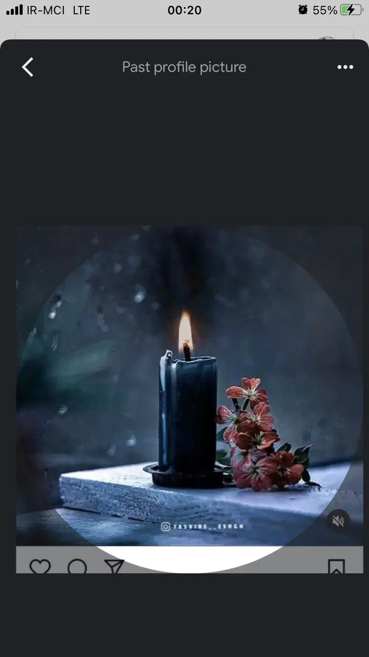 نمایندگی بیمه|استخدام مالی، حسابداری، حقوقی|شیراز, معالیآباد|دیوار