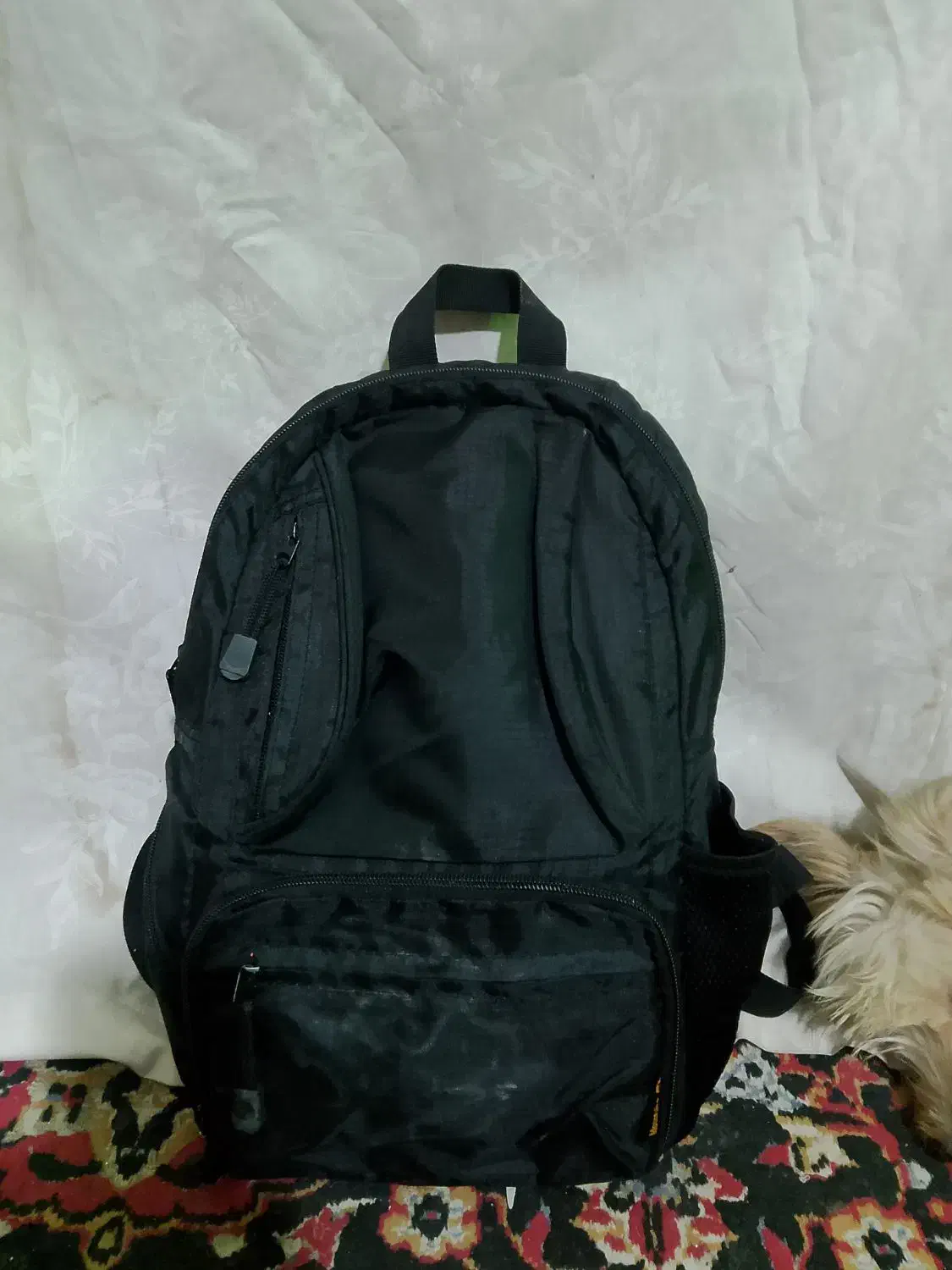 کوله پشتی|کیف، کفش، کمربند|کرمان, |دیوار