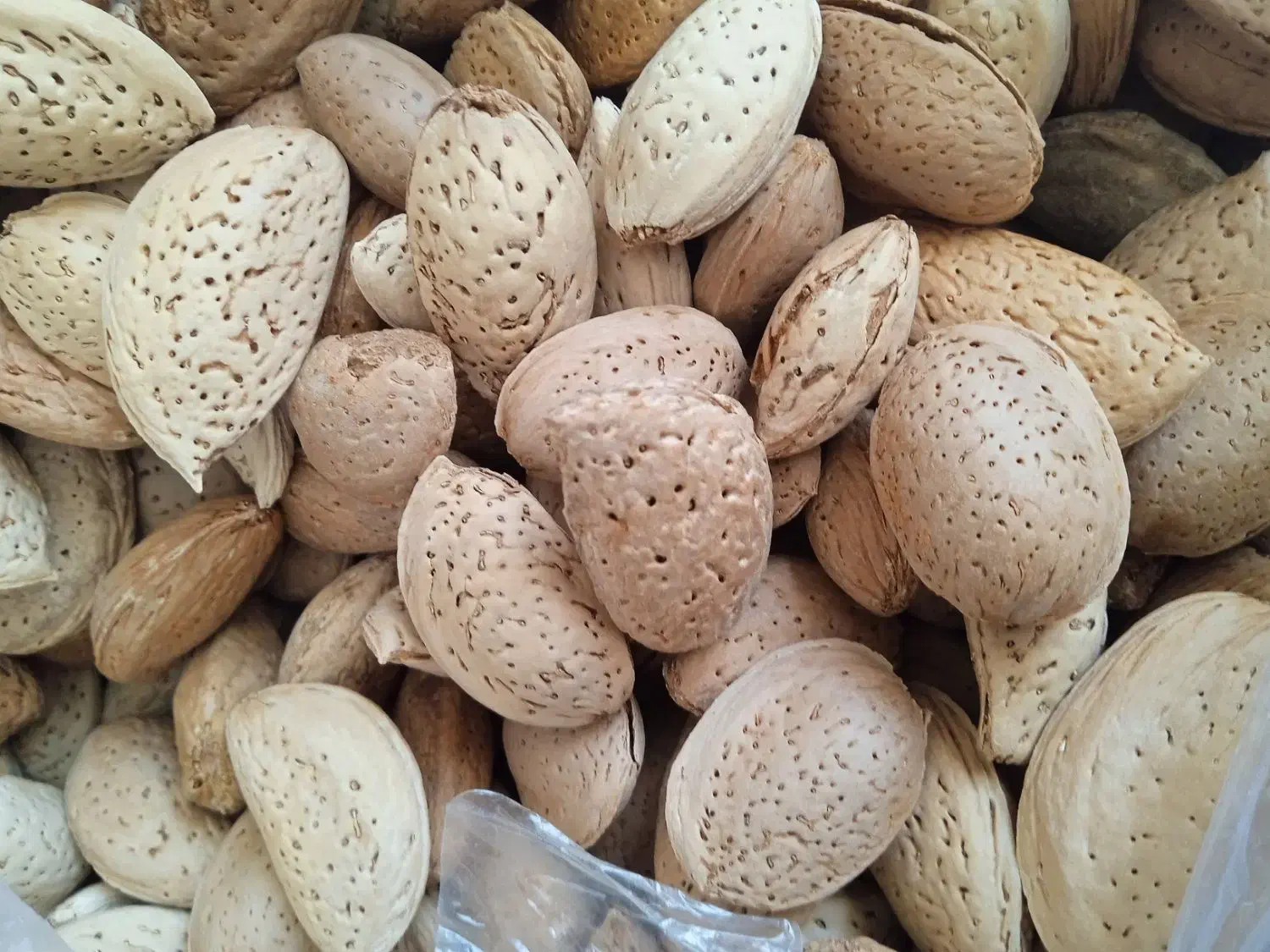 بادام بوانات|خوردنی و آشامیدنی|شیراز, نصرآباد|دیوار