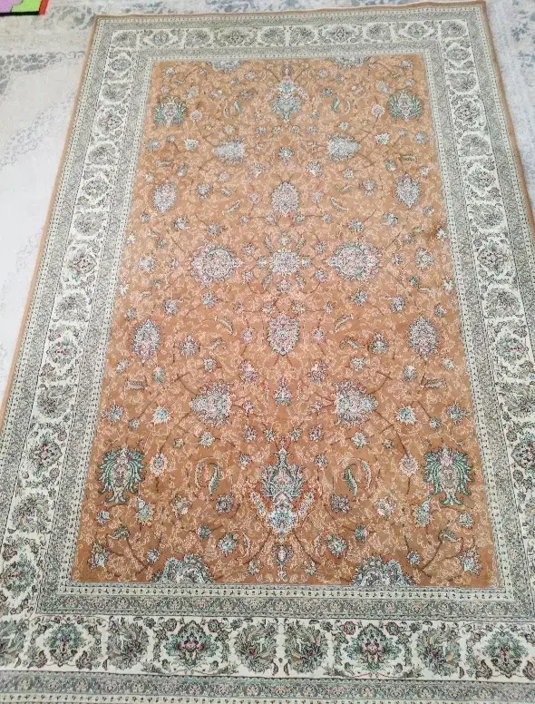 یک جفت فرش 6 متری 500 شانه ساوین گل برجسته|فرش|هشتگرد, فاز ۳ مهستان|دیوار