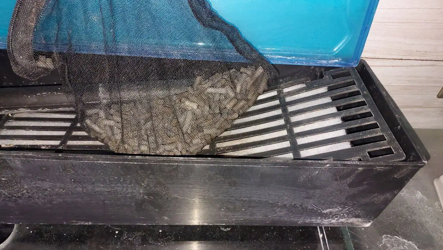 آکواریومشیشه خم|ماهی|کرج, حسینآباد|دیوار