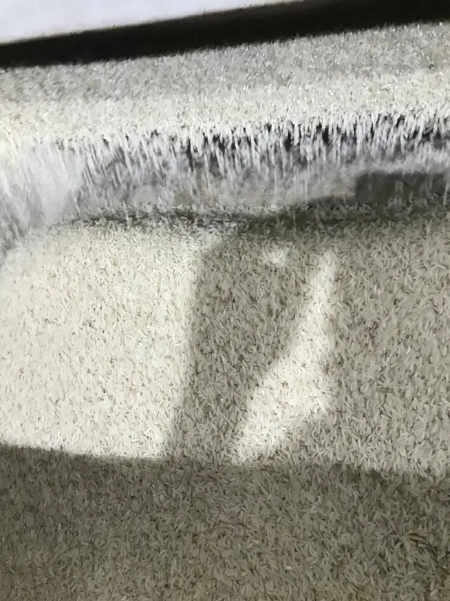 برنج هاشمی درجه ۱ آستانه|خوردنی و آشامیدنی|مشهد, سجادیه|دیوار