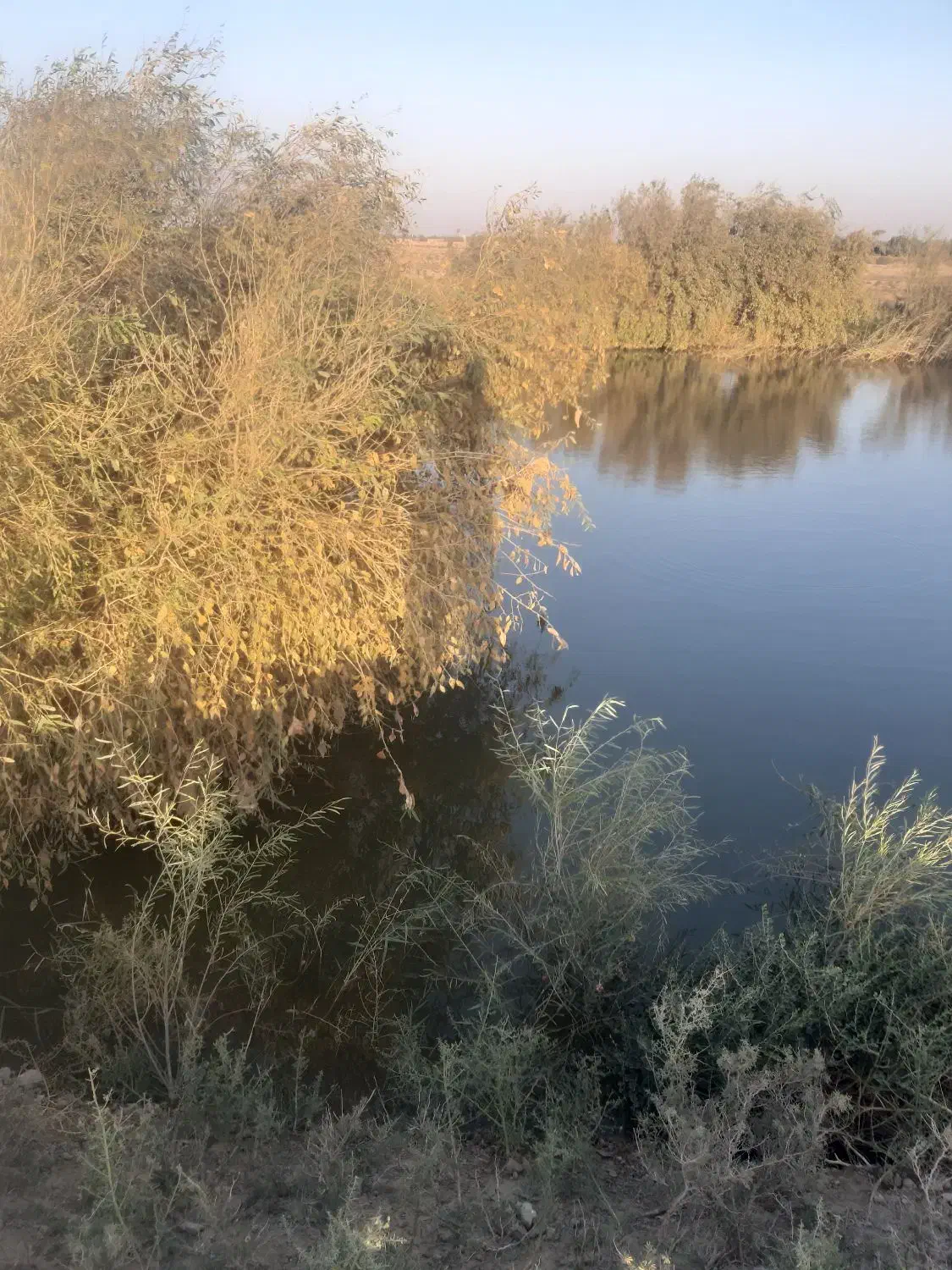 ۱۲ من زمین کشاورزی|اجارهٔ دفتر صنعتی، کشاورزی، تجاری|زابل, |دیوار