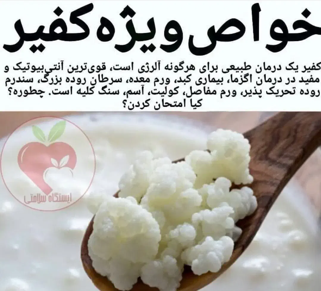 قارچ کفیر|حراج|تهران, جوادیه|دیوار