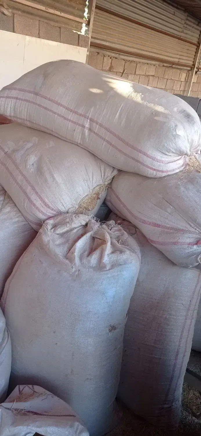 کاه سفید|لوازم جانبی حیوانات|گتوند, |دیوار