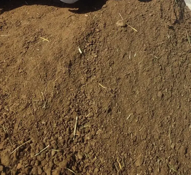 کود حیوانی پوسیده گونی 40کیلویی|گل و گیاه طبیعی|آبادان, |دیوار