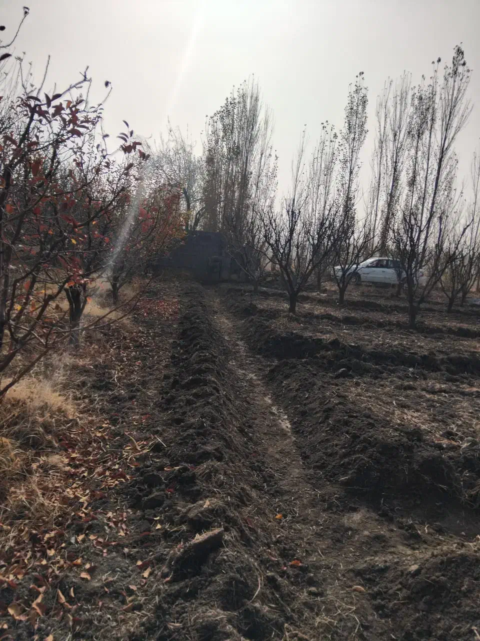 باغچه ۱۰۰۰ متری در سوپورغان|فروش دفتر صنعتی، کشاورزی، تجاری|ارومیه, |دیوار