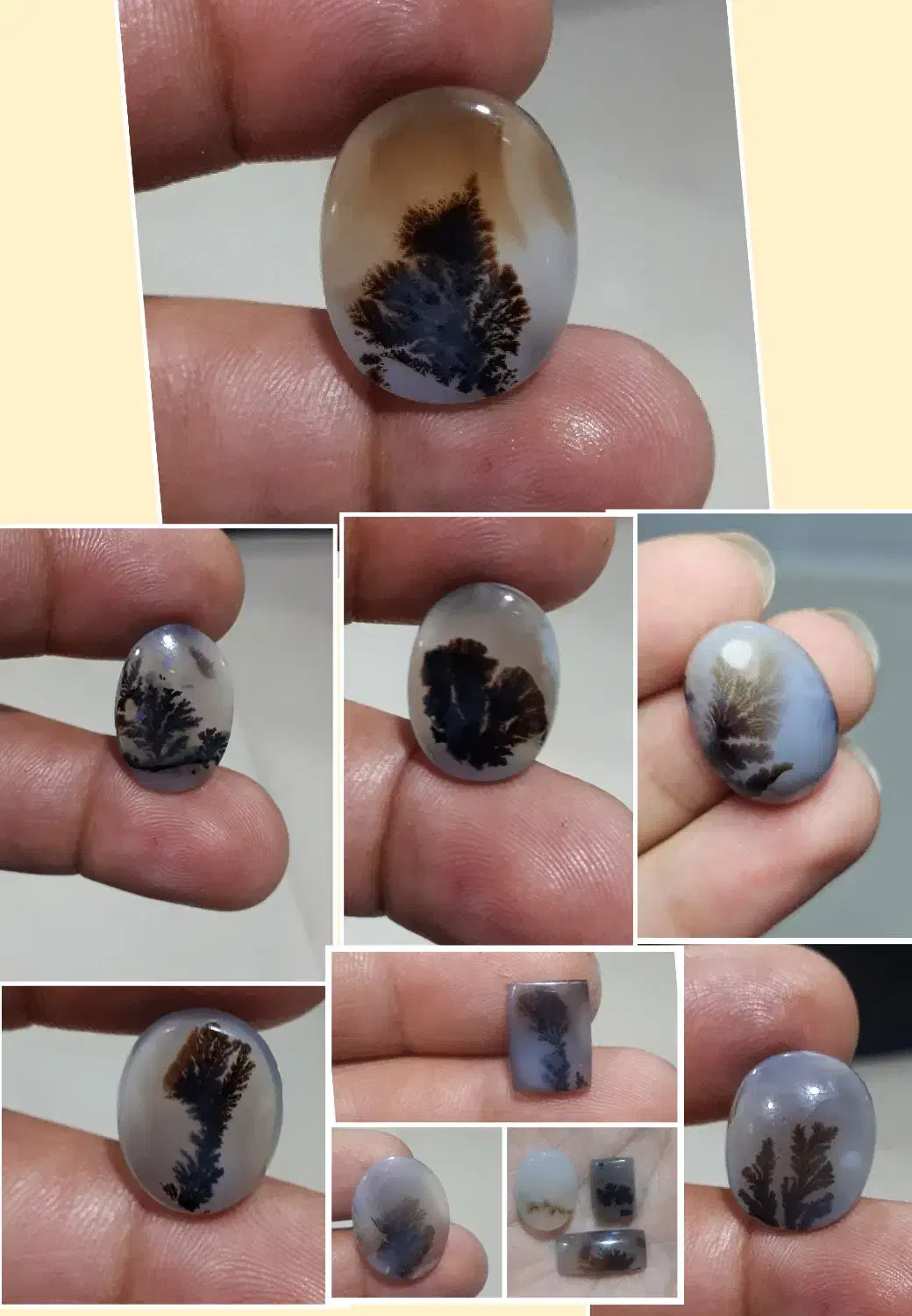 انواع نگین شجر قائن  و عقیق سوسنی|جواهرات|رشت, بازار|دیوار