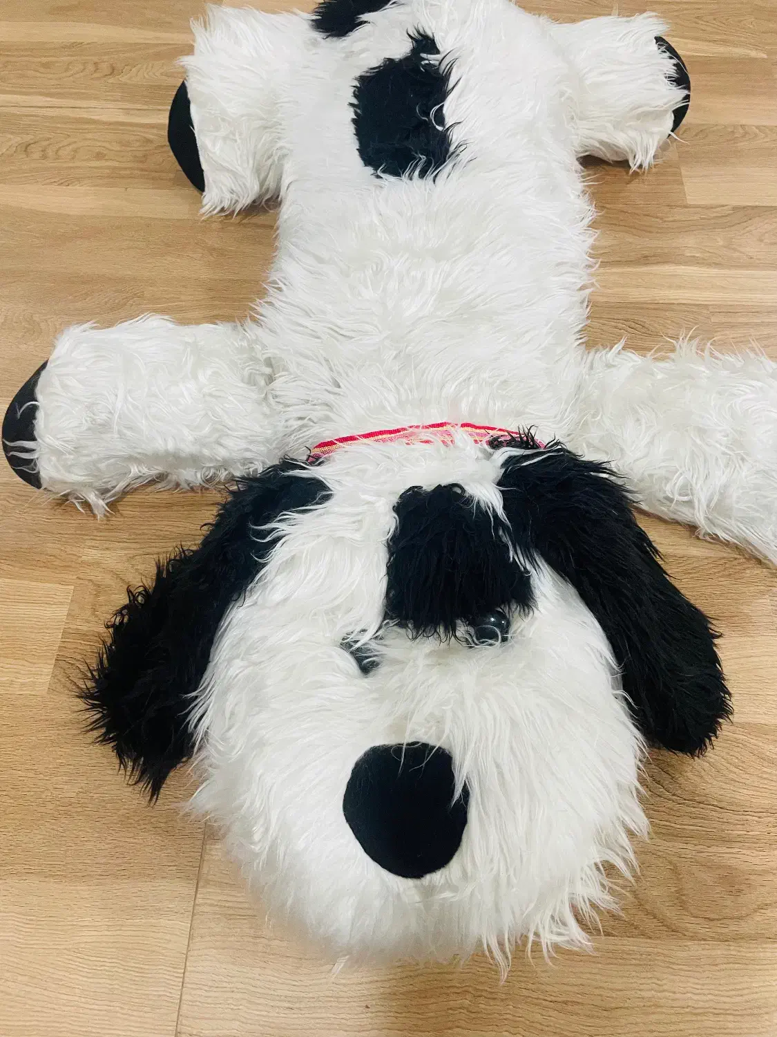 سگ رو تختی بزرگ|اسباب و اثاث بچه|تربت جام, شهرک آزادگان|دیوار