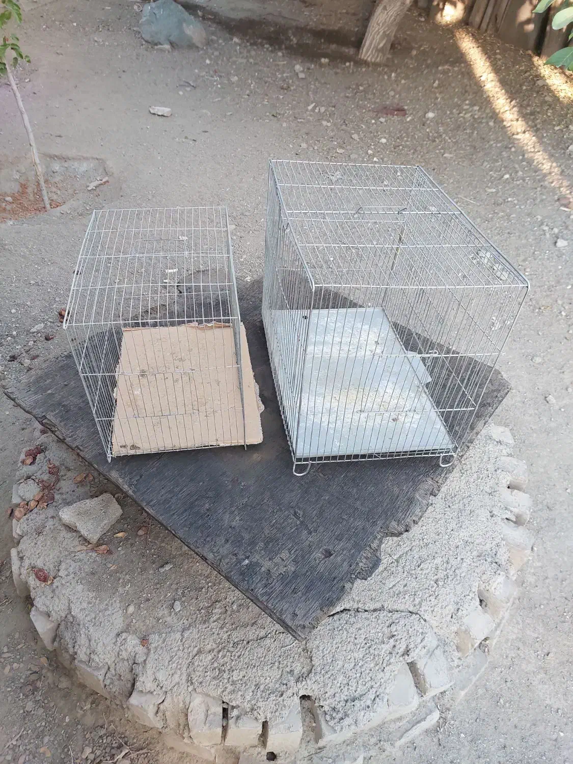 معاوضه با مرغ و خروس و غاز و قوغاز|لوازم جانبی حیوانات|زنجان, |دیوار