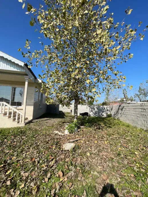 خانه ویلایی ۵۰۰متر و بنا ۱۲۰متر سند تک برگ|فروش خانه و ویلا|ماسال, |دیوار