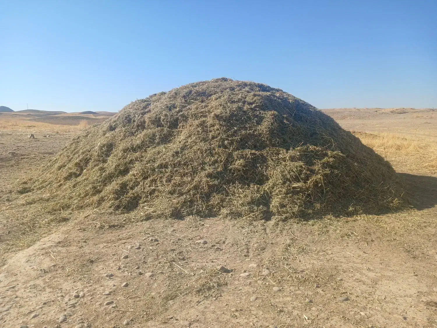 ۹۰۰ کیلو کاه و ۸۰۰ کیلو یونجه فروش فوری|حیوانات مزرعه|افشار, |دیوار