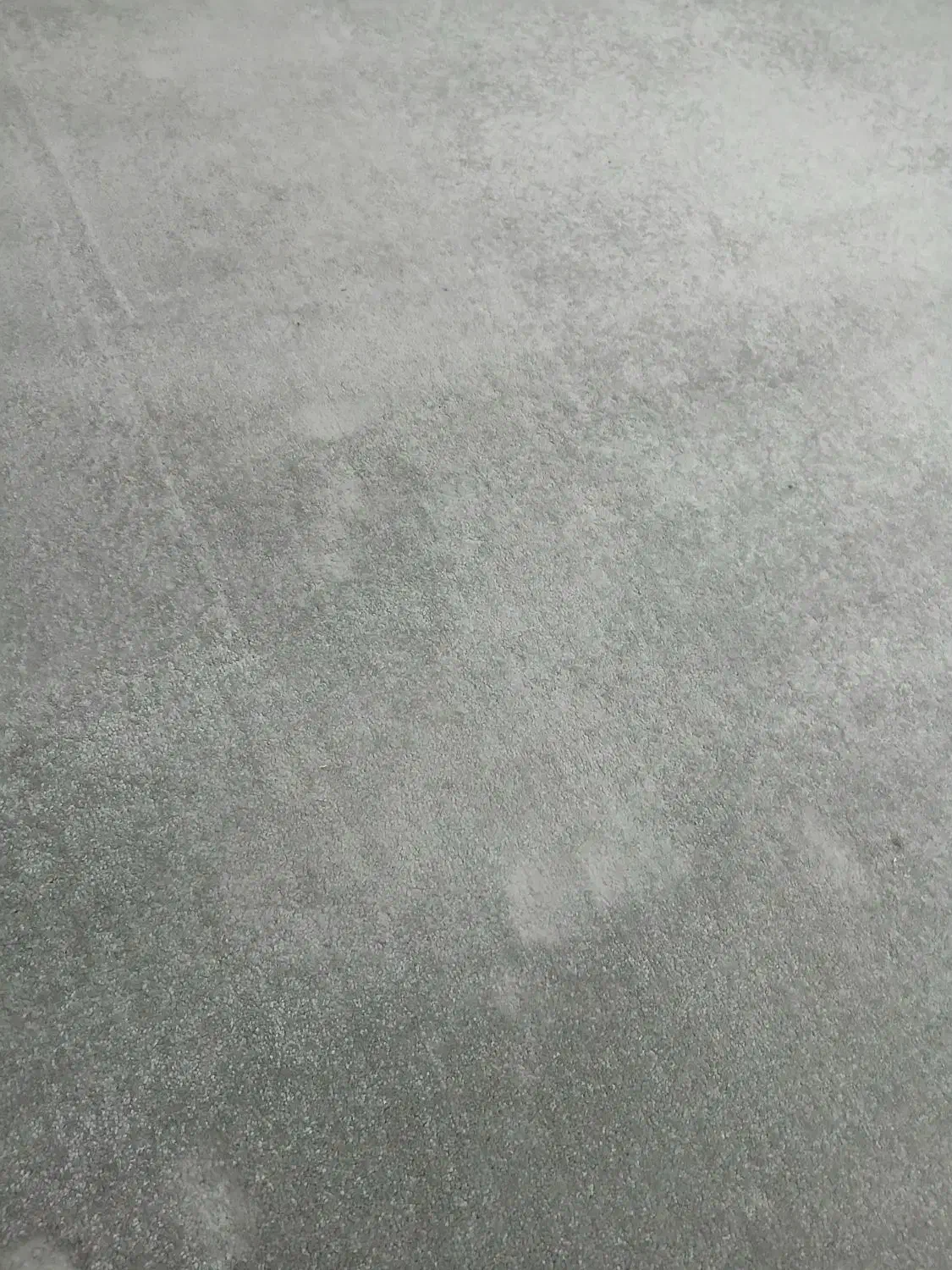 پالاز موکت ۱۶/۵ و ۱۳ متر مربع|موکت|اردبیل, |دیوار